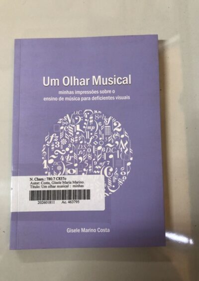 Um olhar musical: minhas impressões sobre o ensino de música para deficientes visuais