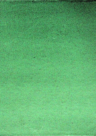 Educación fisica adaptada: excepcionales