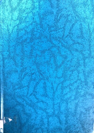 Encontro de avaliação desportiva das pessoas portadoras de deficiencia na decada de 83-92