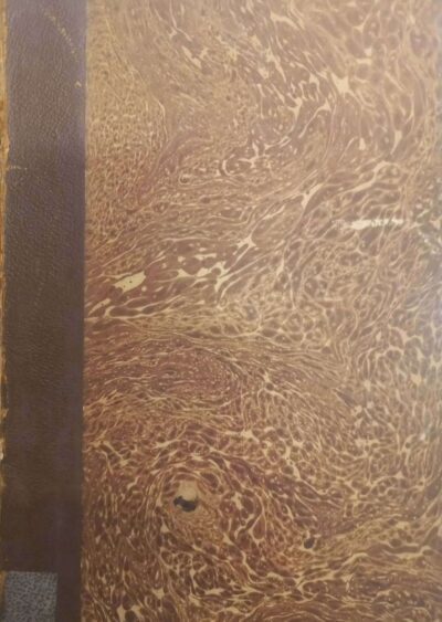 Psicologia e a arte nos anormais: cegos, deliquentes, loucos e histeria - interpretação psicanalítica