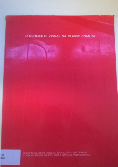 O deficiente visual na classe comum