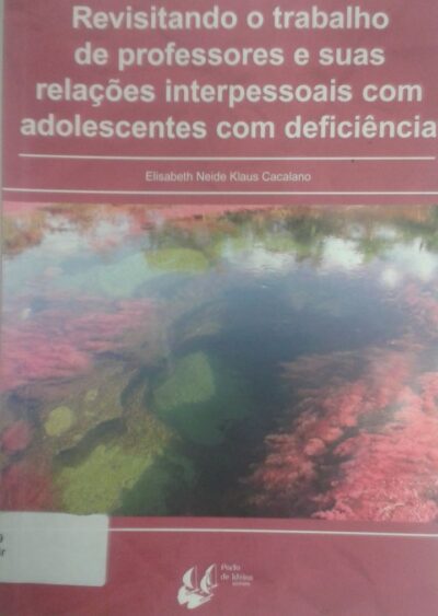 Revisitando o trabalho de professores e suas relações interpessoais com adolescentes com deficiência