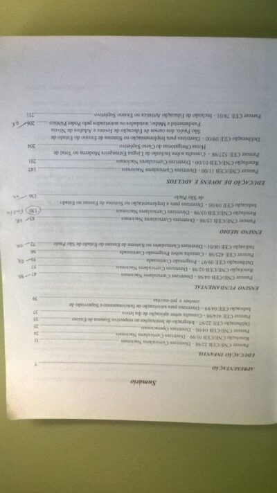 Diretrizes curriculares para a educação básica no Estado de São Paulo - Imagem 3