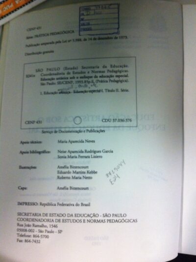 Educação artística sob o enfoque da educação especial - Imagem 3
