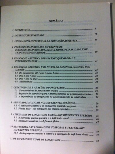 Educação artística sob o enfoque da educação especial - Imagem 4