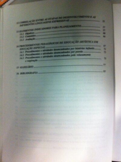 Educação artística sob o enfoque da educação especial - Imagem 5