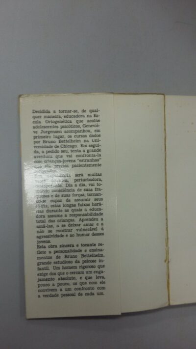 Uma educadora diante da loucura - Imagem 2