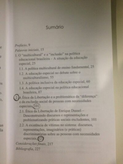 Saberes, imaginários e representações na educação especial: a problemática ética da diferença e da exclusão social - Imagem 4