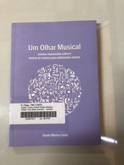 Um olhar musical:  minhas impressões sobre o ensino de música para deficientes visuais