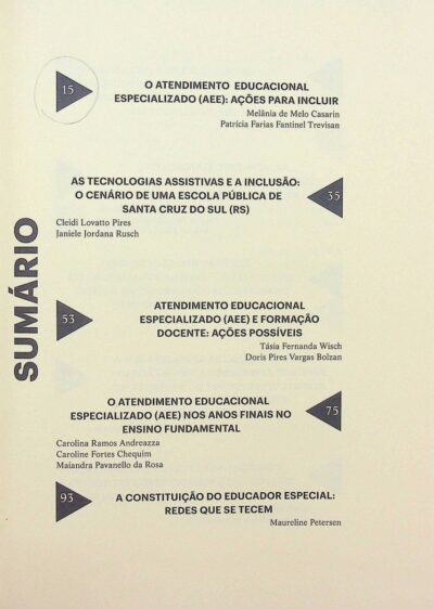 Atendimento educacional especializado: estado da arte - Imagem 4
