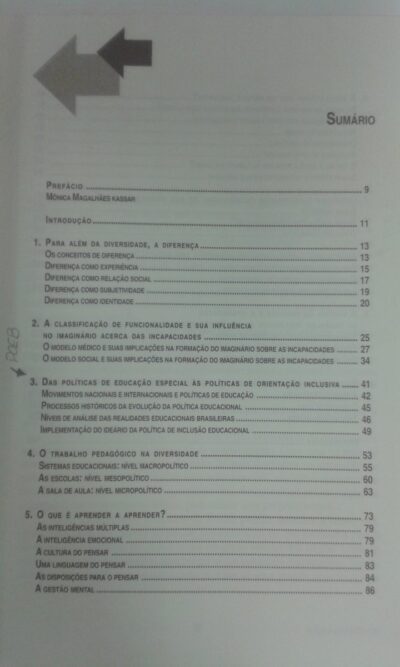 Escola inclusiva: a reorganização do trabalho pedagógico - Imagem 3
