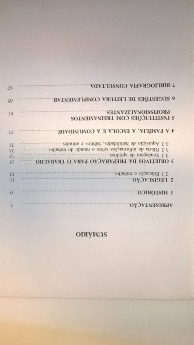 Preparação para o trabalho na educação especial - Imagem 3