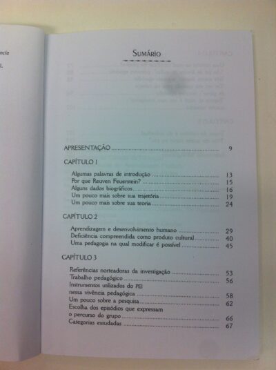 Pedagogia e mediação em Reuven Feuerstein: o processo de mudança em adultos com história de deficiência - Imagem 4