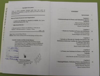 A pessoa com deficiência no mercado de trabalho - Imagem 3