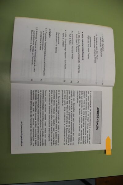 Anais do Seminário sobre educação especial profisionalização e deficiência - Imagem 5