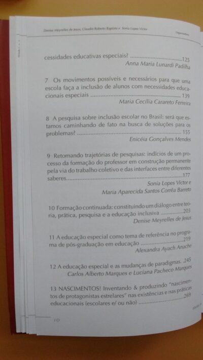 Pesquisa e educação especial: mapeando produções - Imagem 9