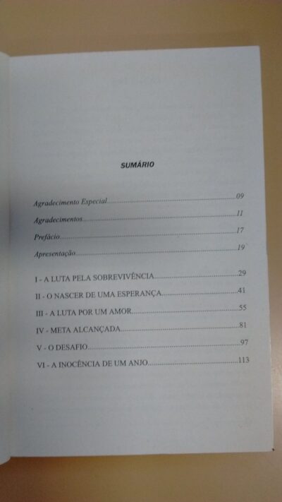 Exemplos da vida: ajudando o deficiente visual a vencer a vida - Imagem 3
