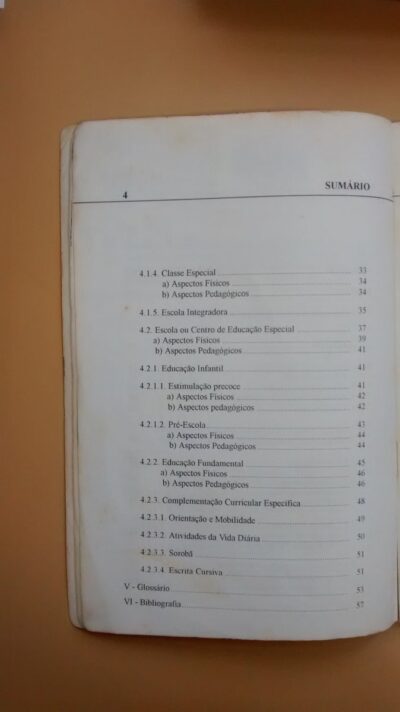 Subsídios para a organização e funcionamento de serviços de educação especial: área de deficiência visual - Imagem 4