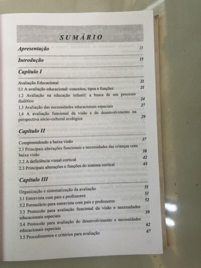 Avaliação educacional de alunos com baixa visão e múltipla deficiência na educação infantil - Imagem 3