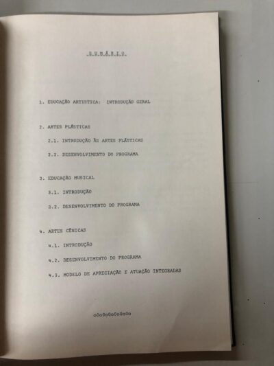 Programa de enriquecimento de currículo para alunos bem dotados da 4ª série do 1º grau - Imagem 3