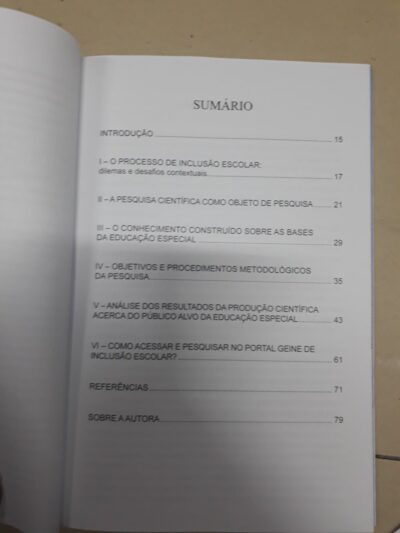 Portal Geine de inclusão escolar - Imagem 3