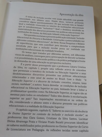 Inclusão educacional, do discurso à realidade:  construções e potencialidades nos diferentes contextos educacionais - Imagem 5