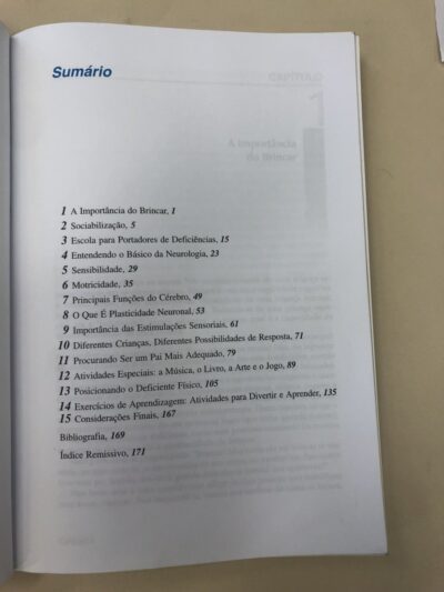 A estimulação da criança especial em casa:  entenda o que acontece no sistema nervoso da criança deficiente e como você pode atuar sobre ele - Imagem 3