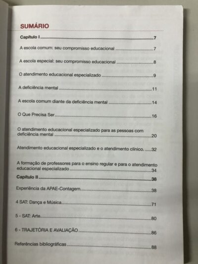 Educação inclusiva:  atendimento educacional especializado para a deficiência mental - Imagem 3