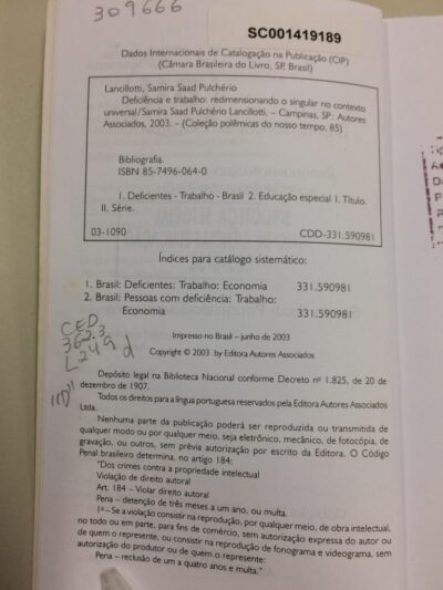 Deficiência e trabalho: redimensionando o singular no contexto universal