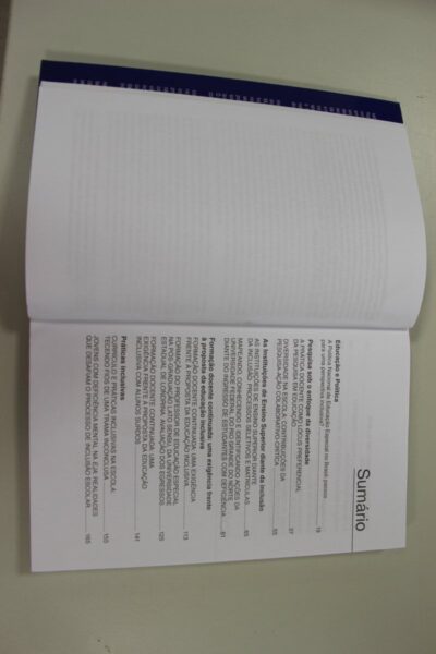 Práticas inclusivas no sistema de ensino e em outros contextos - Imagem 3