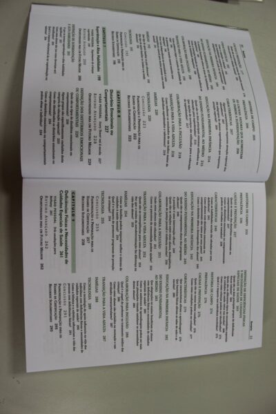 Introdução à educação especial: ensinar em tempos de inclusão - Imagem 6