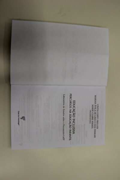 Educação inclusiva: percurso na educação infantil - Imagem 2