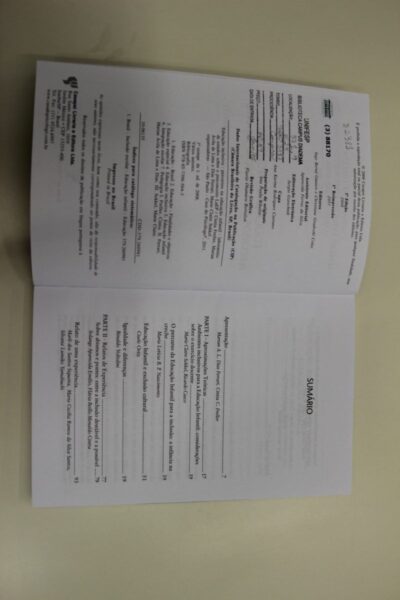 Educação inclusiva: percurso na educação infantil - Imagem 3