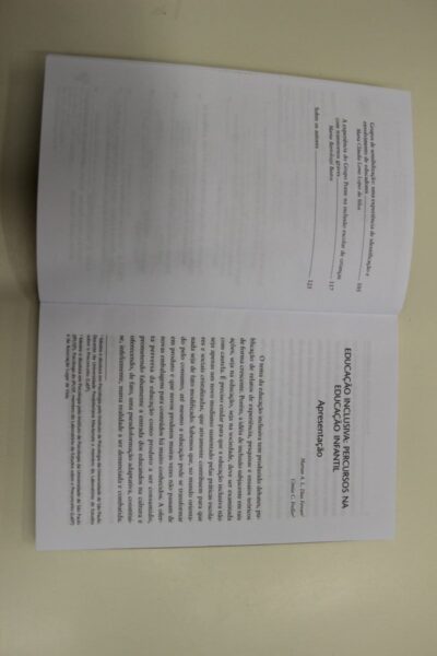 Educação inclusiva: percurso na educação infantil - Imagem 4