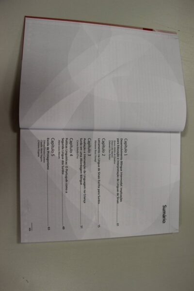 Educação para surdos: práticas e perspectivas II - Imagem 2