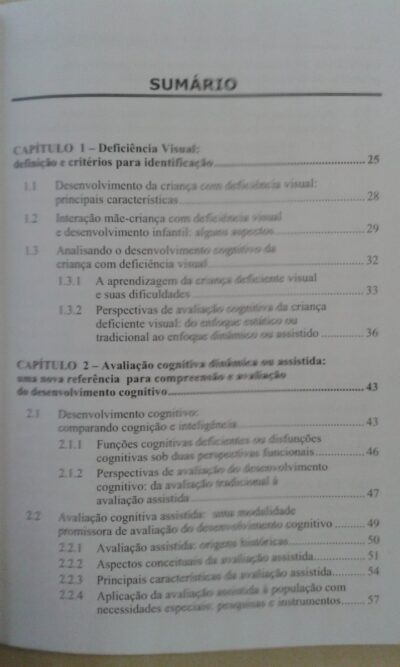 Mediação materna no desenvolvimento cognitivo da criança com deficiência visual - Imagem 3