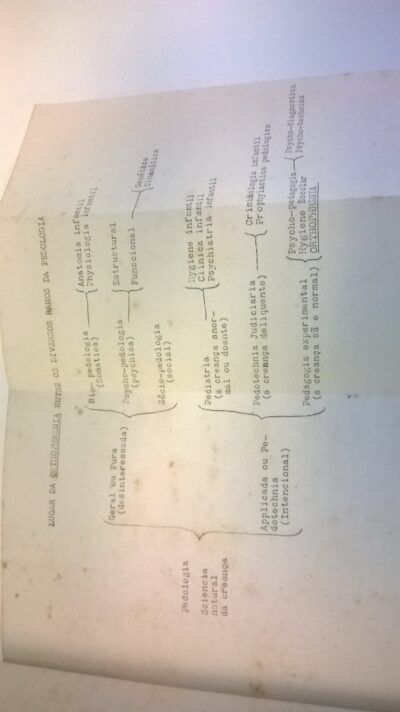A infancia retardatária: ensaios de orthophrenia - Imagem 4