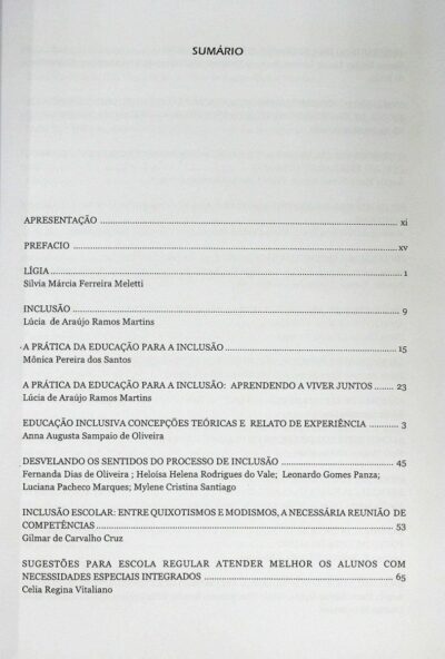 Perspectivas multidisciplinares em educação especial: inclusão - Imagem 4