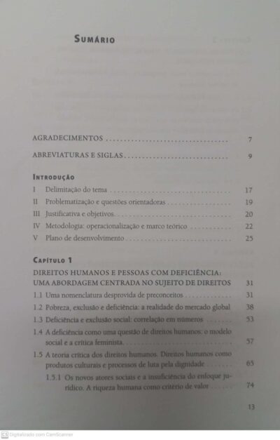 Pessoas com deficiência e direitos humanos: ótica da diferença e ações afirmativas - Imagem 4