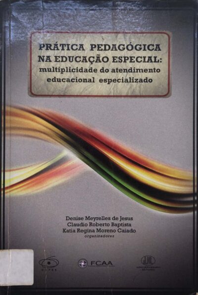 Prática pedagógica na educação especial: multiplicidade do atendimento educacional especializado