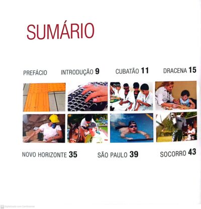 Prêmio Governo do Estado de São Paulo: ações inclusivas para pessoas com deficiência - Imagem 5