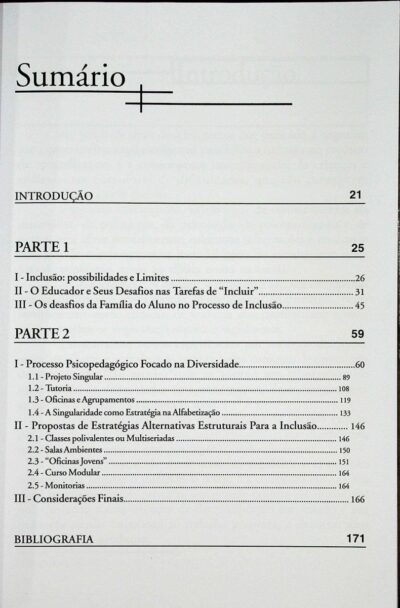 Singularidade na inclusão: estratégias e resultados - Imagem 4