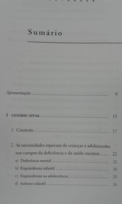 Sou especial e estou na escola, e agora?: Educação inclusiva de crianças e adolescentes com necessidades educacionais especiais - Imagem 4