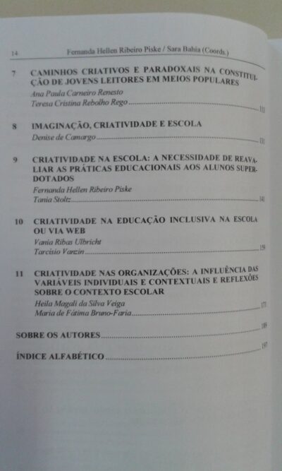 Criatividade na escola: o desenvolvimento de potencialidades, altas habilidades/superdotação (AH/SD) e talentos - Imagem 4