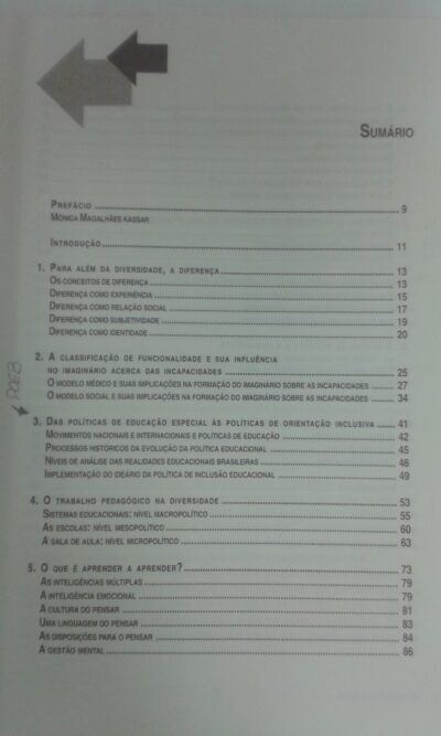 Escola inclusiva: a reorganização do trabalho pedagógico - Image 3