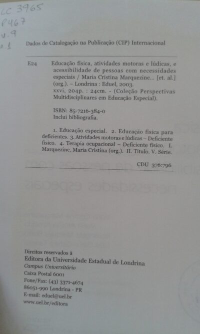 Educação física, atividades motoras e lúdicas, e acessibilidade de pessoas com necessidades especiais - Image 4