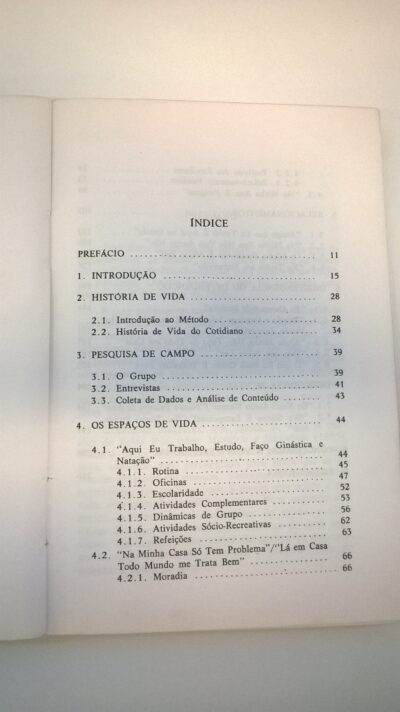 Somos iguais a vocês: depoimentos de mulheres com deficiência mental - Image 4